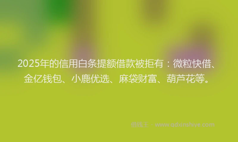 2025年的信用白条提额借款被拒有:微粒快借、金亿钱包、小鹿优选、麻袋财富、葫芦花等。