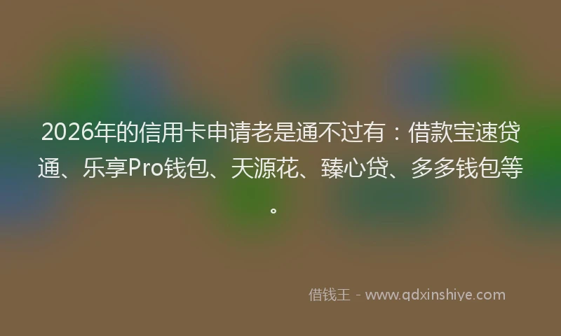 2026年的信用卡申请老是通不过有:借款宝速贷通、乐享Pro钱包、天源花、臻心贷、多多钱包等。
