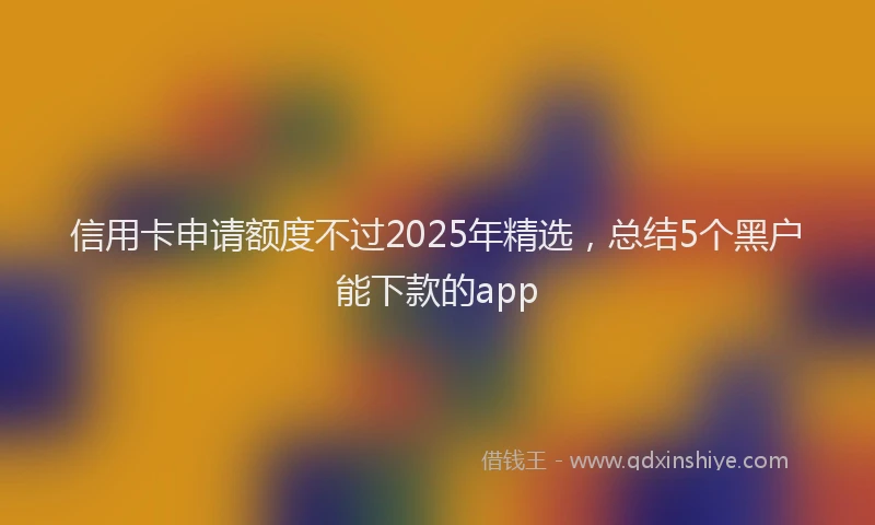 信用卡申请额度不过2025年精选，总结5个黑户能下款的app