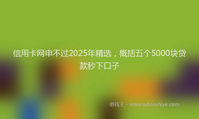 信用卡网申不过2025年精选，概括五个5000块贷款秒下口子