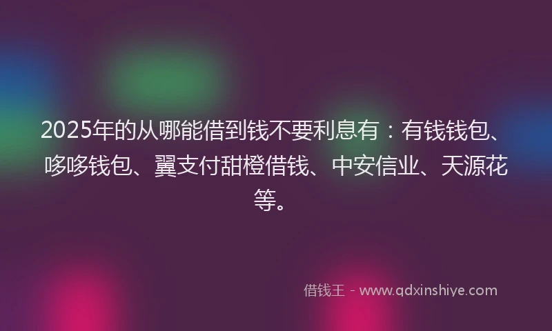 2025年的从哪能借到钱不要利息有：有钱钱包、哆哆钱包、翼支付甜橙借钱、中安信业、天源花等。