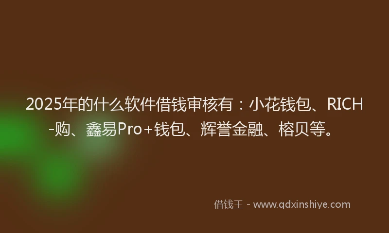 2025年的什么软件借钱审核有：小花钱包、RICH-购、鑫易Pro+钱包、辉誉金融、榕贝等。