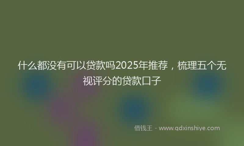 什么都没有可以贷款吗2025年推荐，梳理五个无视评分的贷款口子