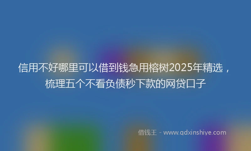 信用不好哪里可以借到钱急用榕树2025年精选，梳理五个不看负债秒下款的网贷口子