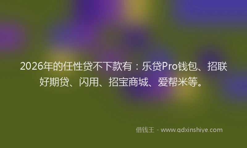2026年的任性贷不下款有：乐贷Pro钱包、招联好期贷、闪用、招宝商城、爱帮米等。