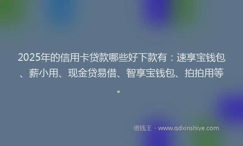 2025年的信用卡贷款哪些好下款有:速享宝钱包、薪小用、现金贷易借、智享宝钱包、拍拍用等。