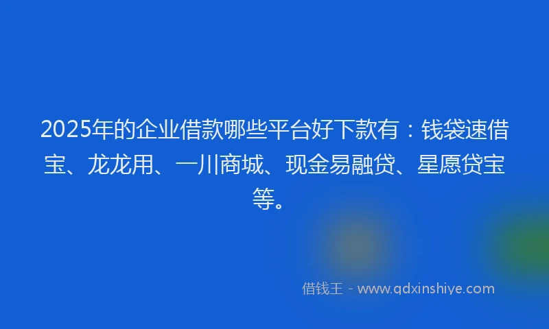 2025年的企业借款哪些平台好下款有：钱袋速借宝、龙龙用、一川商城、现金易融贷、星愿贷宝等。