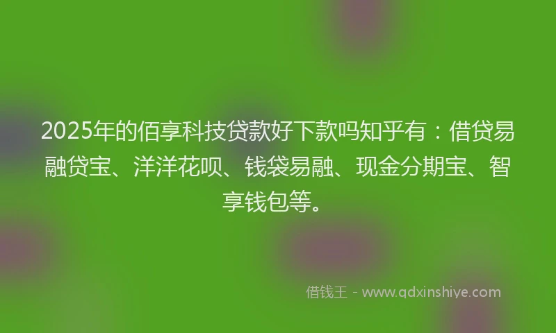 2025年的佰享科技贷款好下款吗知乎有：借贷易融贷宝、洋洋花呗、钱袋易融、现金分期宝、智享钱包等。