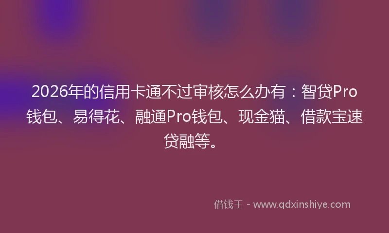 2026年的信用卡通不过审核怎么办有：智贷Pro钱包、易得花、融通Pro钱包、现金猫、借款宝速贷融等。