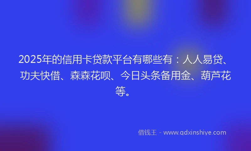 2025年的信用卡贷款平台有哪些有：人人易贷、功夫快借、森森花呗、今日头条备用金、葫芦花等。