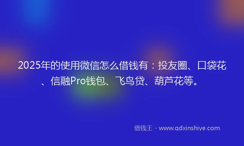 2025年的使用微信怎么借钱有：投友圈、口袋花、信融Pro钱包、飞鸟贷、葫芦花等。