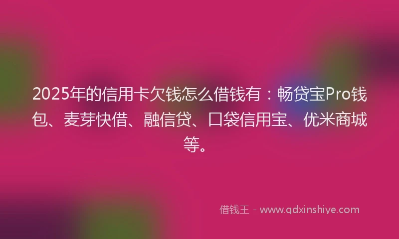 2025年的信用卡欠钱怎么借钱有：畅贷宝Pro钱包、麦芽快借、融信贷、口袋信用宝、优米商城等。
