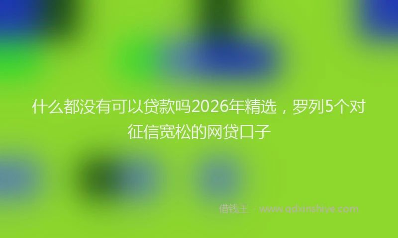 什么都没有可以贷款吗2026年精选，罗列5个对征信宽松的网贷口子