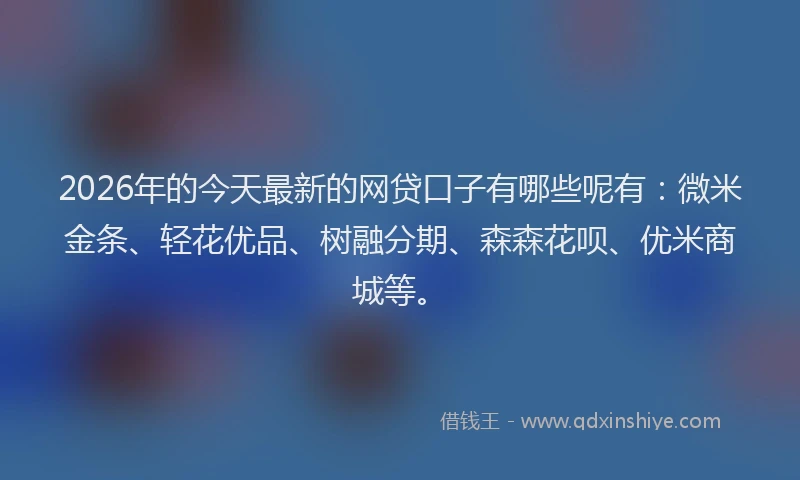 2026年的今天最新的网贷口子有哪些呢有：微米金条、轻花优品、树融分期、森森花呗、优米商城等。