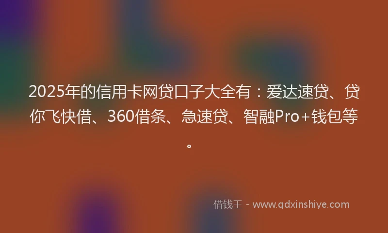 2025年的信用卡网贷口子大全有：爱达速贷、贷你飞快借、360借条、急速贷、智融Pro+钱包等。