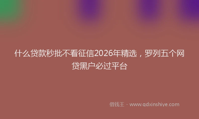 什么贷款秒批不看征信2026年精选，罗列五个网贷黑户必过平台
