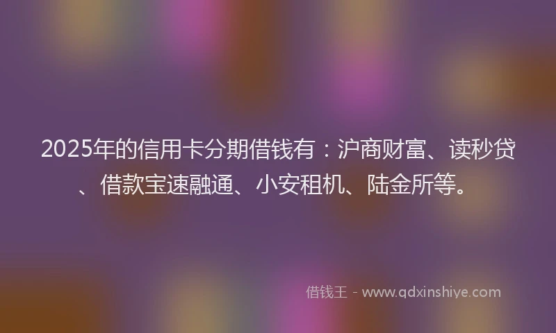 2025年的信用卡分期借钱有:沪商财富、读秒贷、借款宝速融通、小安租机、陆金所等。