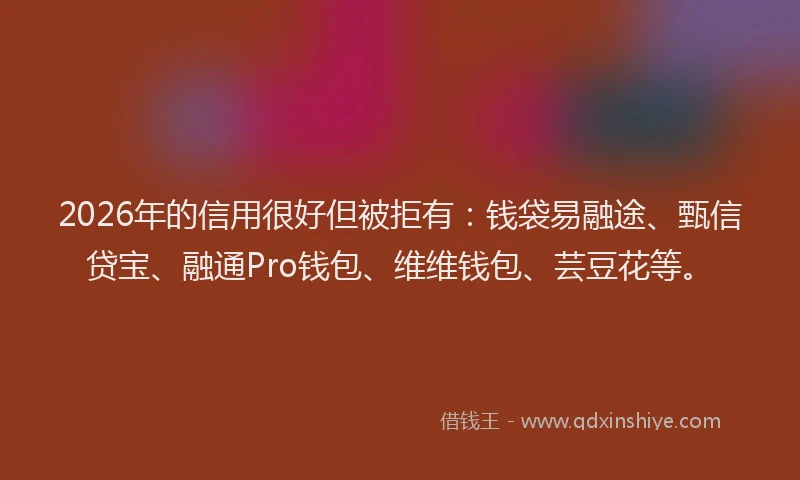 2026年的信用很好但被拒有:钱袋易融途、甄信贷宝、融通Pro钱包、维维钱包、芸豆花等。