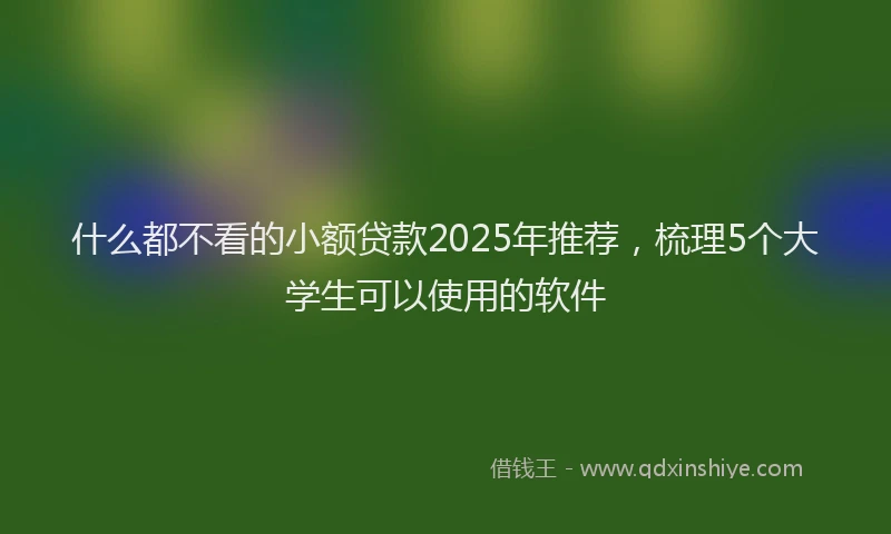 什么都不看的小额贷款2025年推荐，梳理5个大学生可以使用的软件