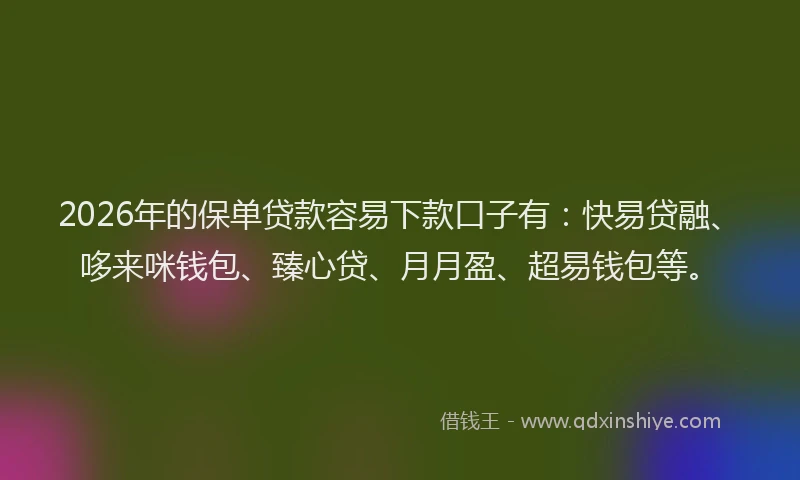 2026年的保单贷款容易下款口子有:快易贷融、哆来咪钱包、臻心贷、月月盈、超易钱包等。