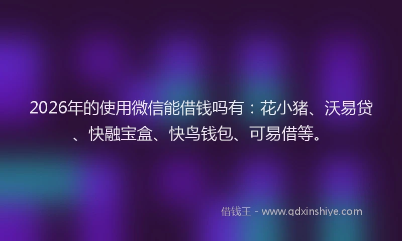 2026年的使用微信能借钱吗有:花小猪、沃易贷、快融宝盒、快鸟钱包、可易借等。