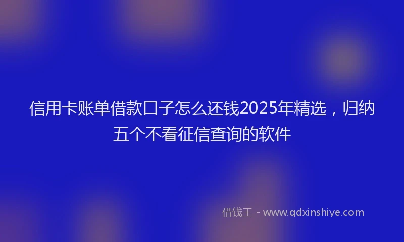 信用卡账单借款口子怎么还钱2025年精选，归纳五个不看征信查询的软件