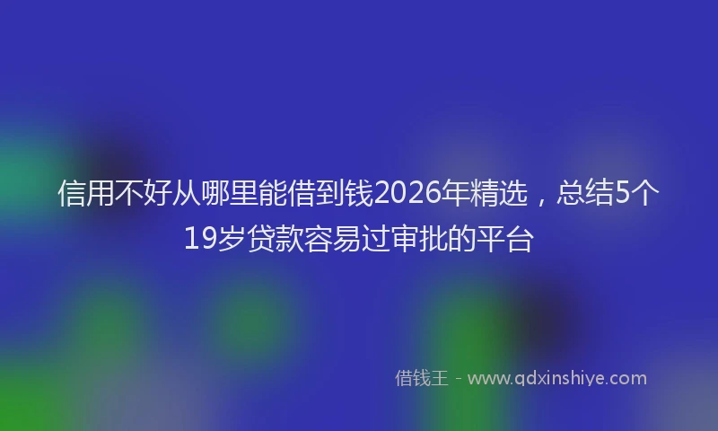 信用不好从哪里能借到钱2026年精选,总结5个19岁贷款容易过审批的平台