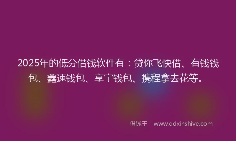 2025年的低分借钱软件有：贷你飞快借、有钱钱包、鑫速钱包、享宇钱包、携程拿去花等。