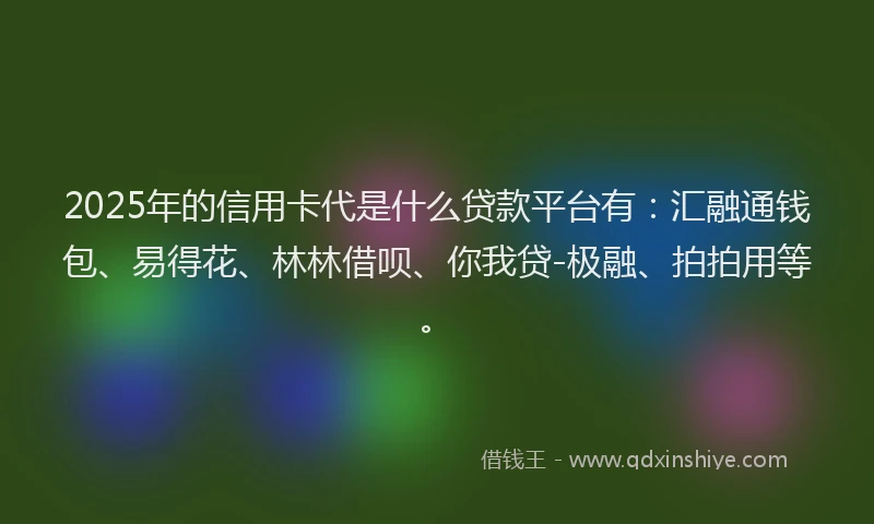 2025年的信用卡代是什么贷款平台有：汇融通钱包、易得花、林林借呗、你我贷-极融、拍拍用等。