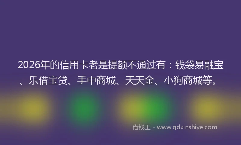2026年的信用卡老是提额不通过有:钱袋易融宝、乐借宝贷、手中商城、天天金、小狗商城等。