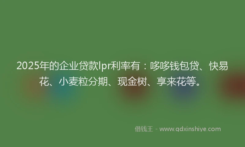2025年的企业贷款lpr利率有:哆哆钱包贷、快易花、小麦粒分期、现金树、享来花等。