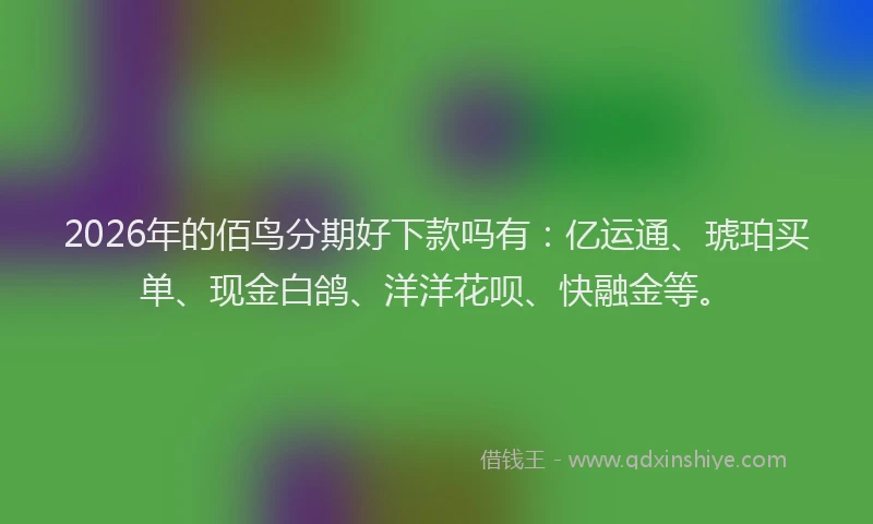 2026年的佰鸟分期好下款吗有:亿运通、琥珀买单、现金白鸽、洋洋花呗、快融金等。