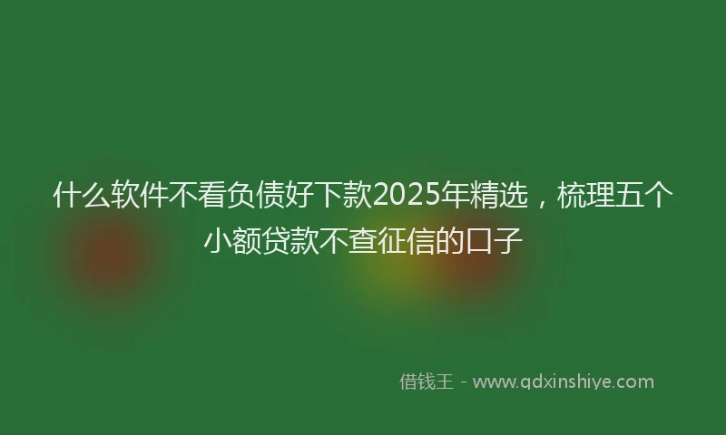 什么软件不看负债好下款2025年精选，梳理五个小额贷款不查征信的口子