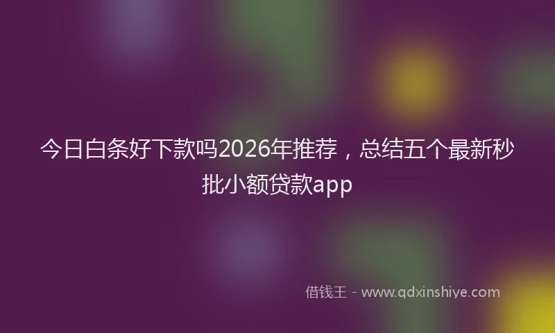 今日白条好下款吗2026年推荐，总结五个最新秒批小额贷款app