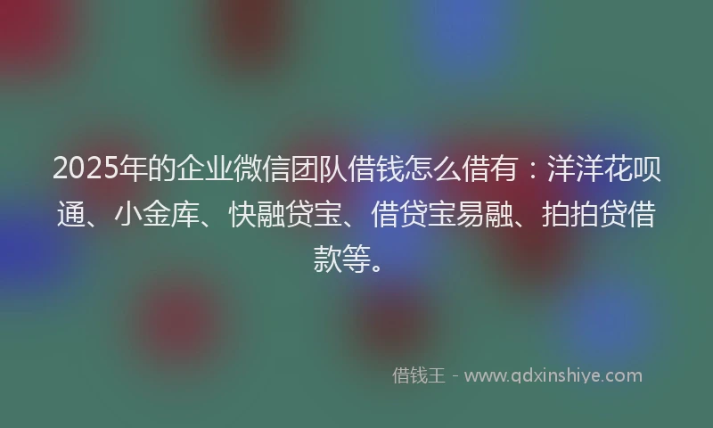 2025年的企业微信团队借钱怎么借有：洋洋花呗通、小金库、快融贷宝、借贷宝易融、拍拍贷借款等。