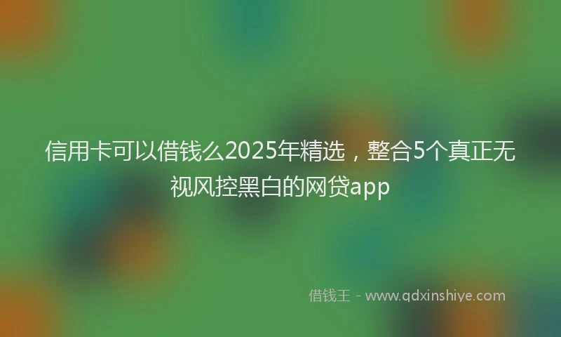 信用卡可以借钱么2025年精选，整合5个真正无视风控黑白的网贷app