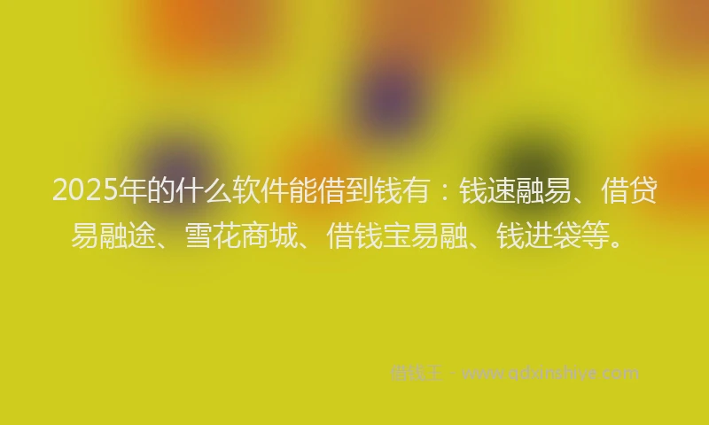 2025年的什么软件能借到钱有：钱速融易、借贷易融途、雪花商城、借钱宝易融、钱进袋等。