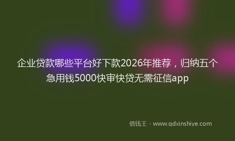企业贷款哪些平台好下款2026年推荐，归纳五个急用钱5000快审快贷无需征信app