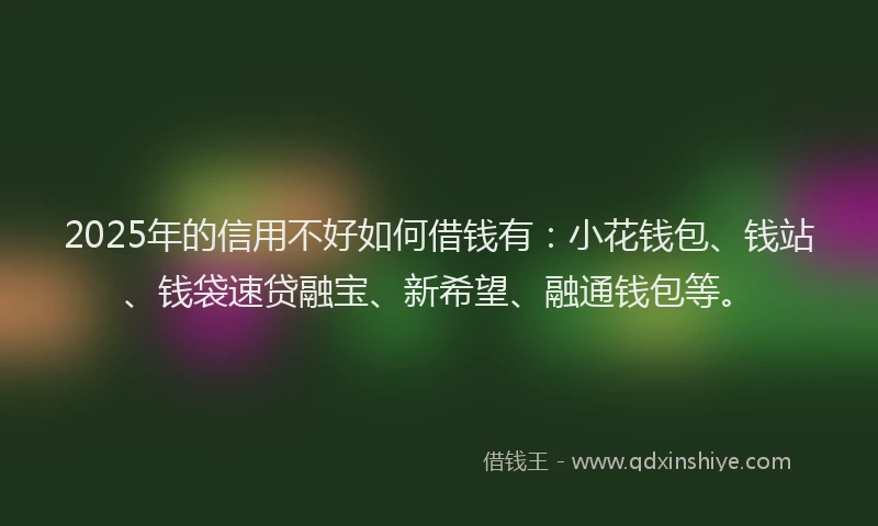 2025年的信用不好如何借钱有：小花钱包、钱站、钱袋速贷融宝、新希望、融通钱包等。