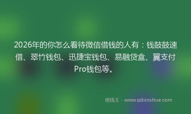 2026年的你怎么看待微信借钱的人有：钱鼓鼓速借、翠竹钱包、迅捷宝钱包、易融贷盒、翼支付Pro钱包等。
