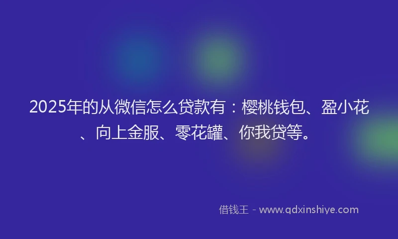 2025年的从微信怎么贷款有:樱桃钱包、盈小花、向上金服、零花罐、你我贷等。