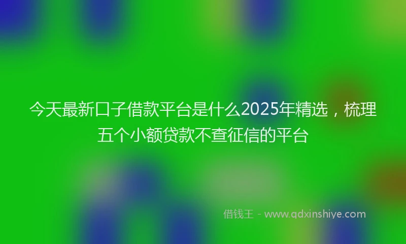 今天最新口子借款平台是什么2025年精选，梳理五个小额贷款不查征信的平台