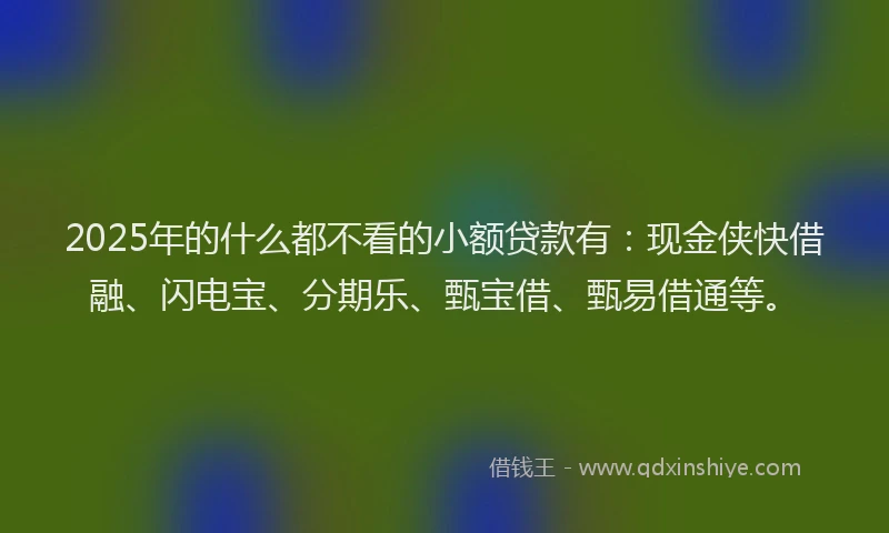 2025年的什么都不看的小额贷款有：现金侠快借融、闪电宝、分期乐、甄宝借、甄易借通等。