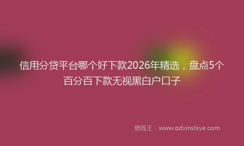 信用分贷平台哪个好下款2026年精选,盘点5个百分百下款无视黑白户口子