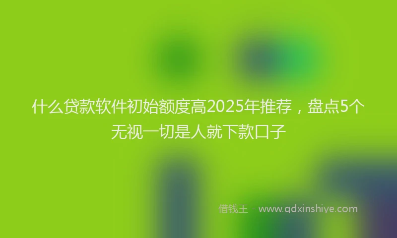 什么贷款软件初始额度高2025年推荐，盘点5个无视一切是人就下款口子