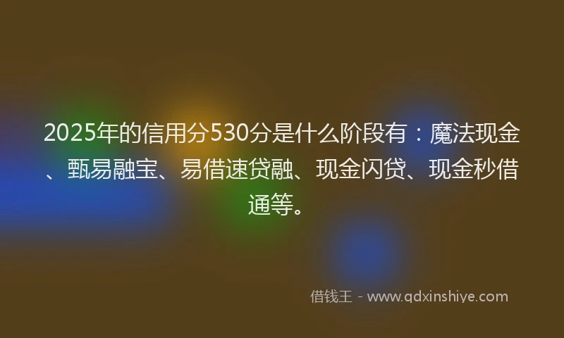 2025年的信用分530分是什么阶段有：魔法现金、甄易融宝、易借速贷融、现金闪贷、现金秒借通等。