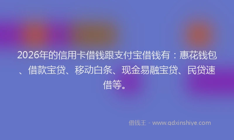 2026年的信用卡借钱跟支付宝借钱有：惠花钱包、借款宝贷、移动白条、现金易融宝贷、民贷速借等。