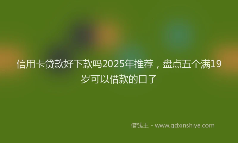 信用卡贷款好下款吗2025年推荐，盘点五个满19岁可以借款的口子