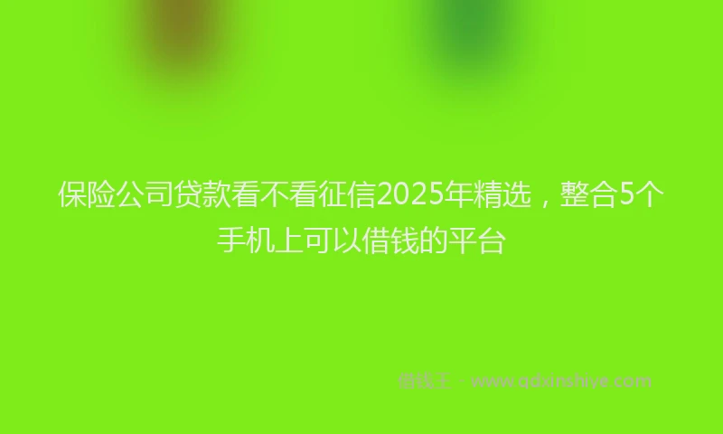 保险公司贷款看不看征信2025年精选，整合5个手机上可以借钱的平台
