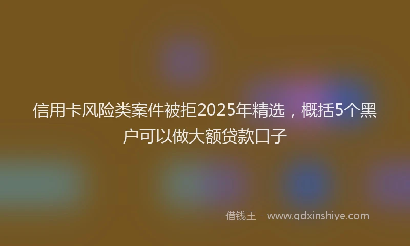 信用卡风险类案件被拒2025年精选，概括5个黑户可以做大额贷款口子